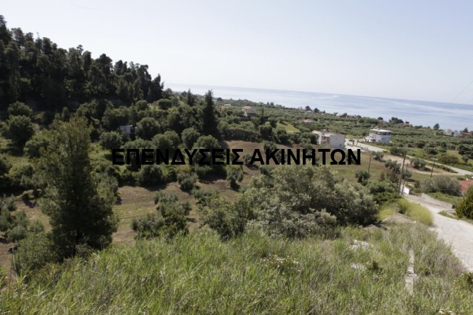 Αγροτεμάχια 16.000 τ.μ. πρός πώληση, Χαλκιδική, Παλλήνη