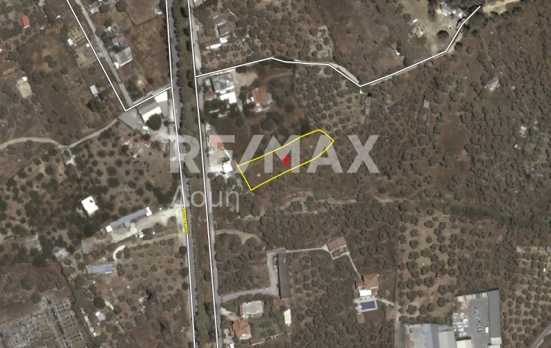 Αγροτεμάχια 1.186 τ.μ. πρός πώληση, Μαγνησία, Βόλος
