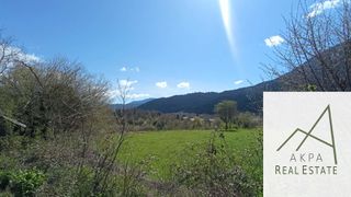 Αγροτεμάχια 3.000 τ.μ. για πώληση