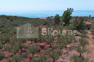Οικόπεδο 1.101,32 τ.μ. για πώληση