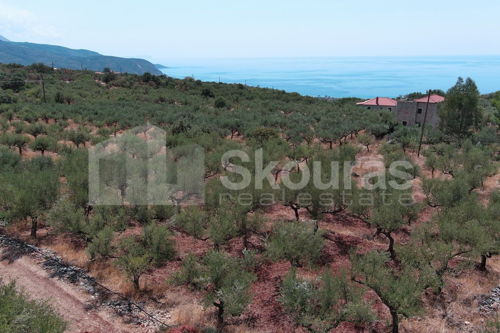 Οικόπεδο 1.101,32 τ.μ. προς πώληση, Νεοχώρι Λεύκτρου