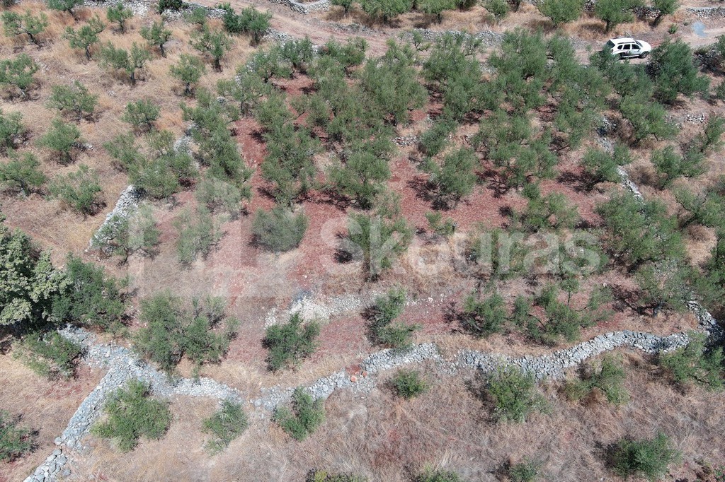 Οικόπεδο 1.101,32 τ.μ. προς πώληση, Νεοχώρι Λεύκτρου