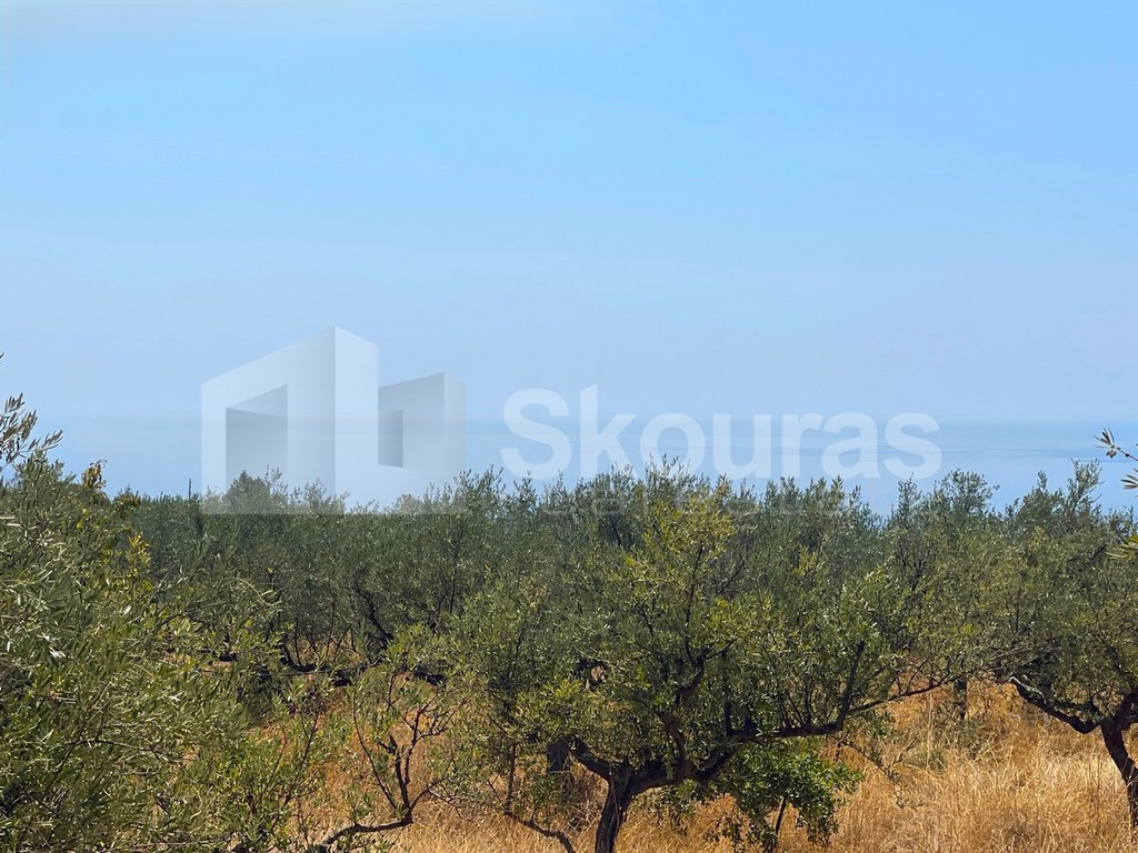 Οικόπεδο 1.101,32 τ.μ. προς πώληση, Νεοχώρι Λεύκτρου