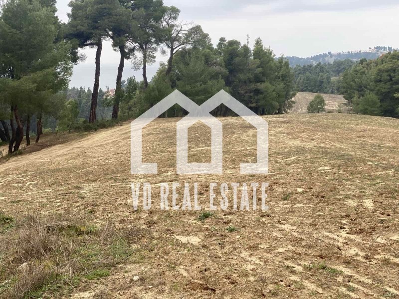 Αγροτεμάχια 14.100 τ.μ. πρός πώληση, Χαλκιδική, Κασσάνδρα