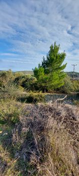 Οικόπεδο 209τ.μ. για πώληση-Παιανία » Άνοιξη