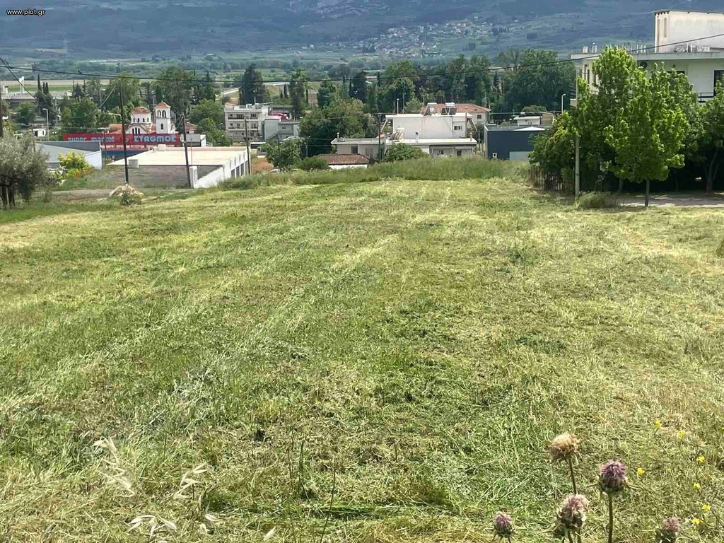 Οικόπεδο 764 τ.μ. πρός πώληση, Φθιώτιδας, Λαμία