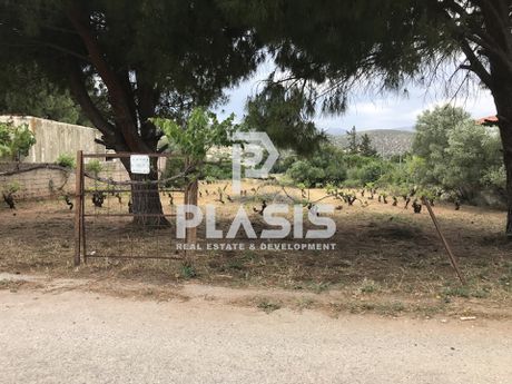 Οικόπεδο 1.000τ.μ. για πώληση-Κορωπί