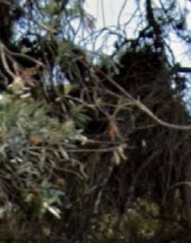 Land plot 235sqm for sale-Dafni » Ano Agios Ioannis