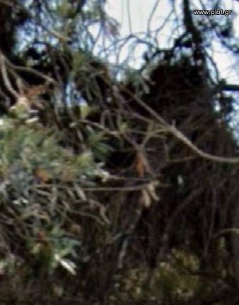 Οικόπεδο 235 τ.μ. για πώληση, Αθήνα - Νότια Προάστια, Δάφνη