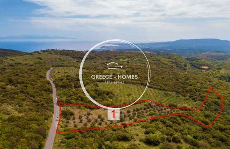 Οικόπεδο 10.351 τ.μ. για πώληση