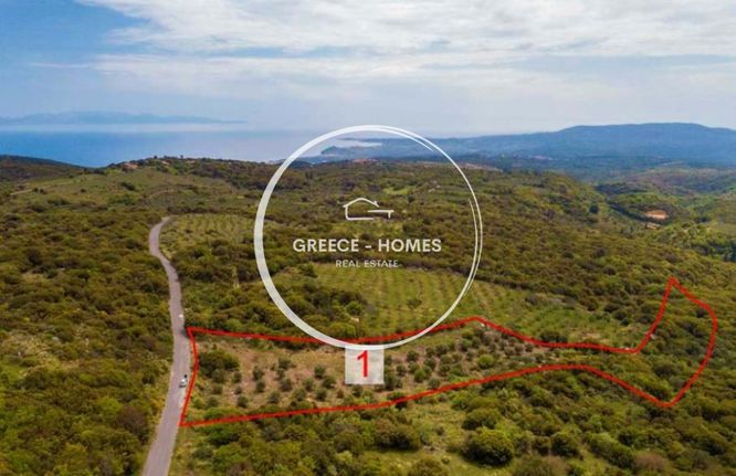 Οικόπεδο 10.351 τ.μ. για πώληση, Μεσσηνία, Πεταλίδι