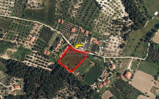 Αγροτεμάχια 5.295 τ.μ. προς πώληση, Ποσείδι-thumb-12