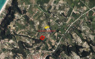 Αγροτεμάχια 5.295 τ.μ. προς πώληση, Ποσείδι-thumb-14
