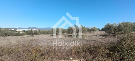 Αγροτεμάχια 23.000τ.μ. για πώληση-Σιθωνία » Παρθενώνας