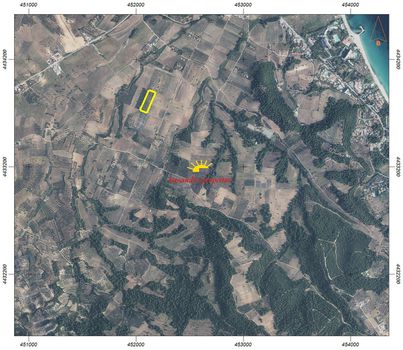 Αγροτεμάχια 13.300τ.μ. για πώληση-Κασσάνδρα » Καλάνδρα