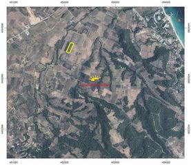 Αγροτεμάχια 13.300 τ.μ. προς πώληση