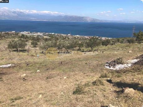 Land plot 5.000sqm for sale-Kalamos » Centre
