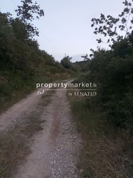 Parcel 5.500sqm for sale-Arkadi » Erfi