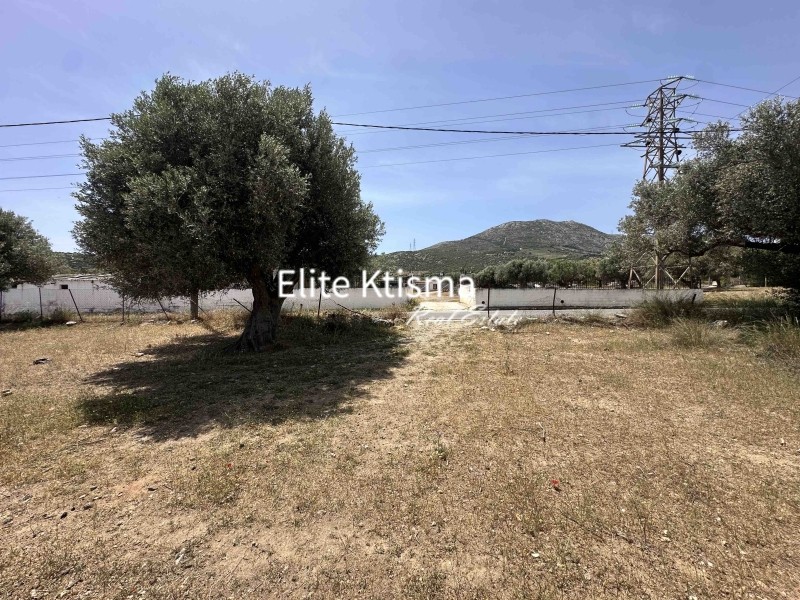 Οικόπεδο 804 τ.μ. πρός πώληση, Αττική - Υπόλοιπο, Κερατέα