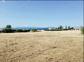 Άλλο 2.500 τ.μ. για πώληση