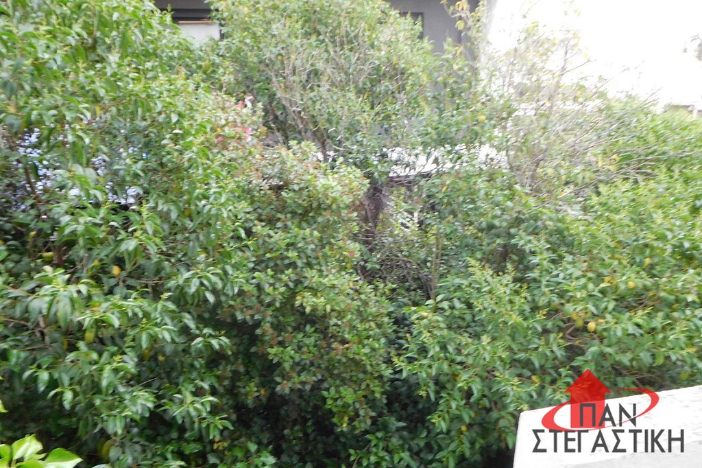 Διαμέρισμα 61 τ.μ. πρός πώληση, Αθήνα - Βόρεια Προάστια, Πεύκη