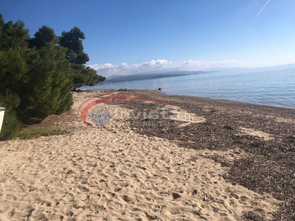 Μονοκατοικία 110 τ.μ. για πώληση, Χαλκιδική, Ορμύλια