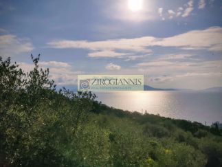 Οικόπεδο 1.040 τ.μ. για πώληση, Αθήνα - Ανατολικά Προάστια, Μαραθώνας