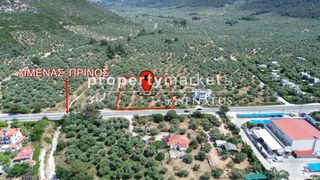 Αγροτεμάχια 4.710 τ.μ. προς πώληση, Ραχώνι-thumb-3
