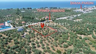 Αγροτεμάχια 4.710 τ.μ. προς πώληση, Ραχώνι-thumb-2