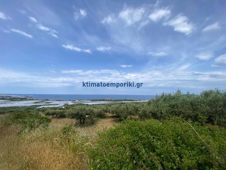 Land plot 5.000sqm for sale-Kissamos
