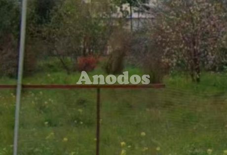 Οικόπεδο 1.000 τ.μ. για πώληση