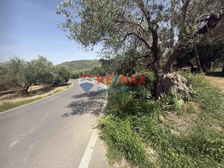 Οικόπεδο 1.126,17τ.μ. για πώληση-Κολυμβάρι