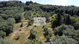 Οικόπεδο 9.707 τ.μ. προς πώληση, Άγιος Γεώργιος Κέρκυρας-thumb-7