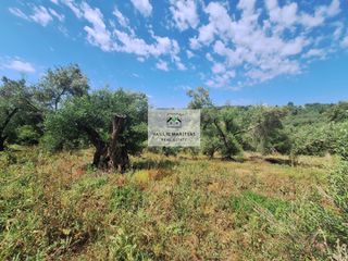 Οικόπεδο 9.707 τ.μ. προς πώληση, Άγιος Γεώργιος Κέρκυρας-thumb-8