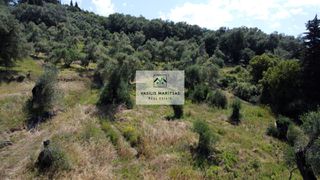 Οικόπεδο 9.707 τ.μ. προς πώληση, Άγιος Γεώργιος Κέρκυρας-thumb-10