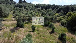 Οικόπεδο 9.707 τ.μ. προς πώληση, Άγιος Γεώργιος Κέρκυρας-thumb-11