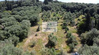 Οικόπεδο 9.707 τ.μ. προς πώληση, Άγιος Γεώργιος Κέρκυρας-thumb-9