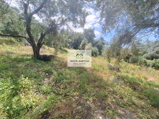 Οικόπεδο 9.707 τ.μ. προς πώληση, Άγιος Γεώργιος Κέρκυρας-thumb-15