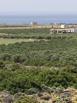 Οικόπεδο 30.000 τ.μ. για πώληση
