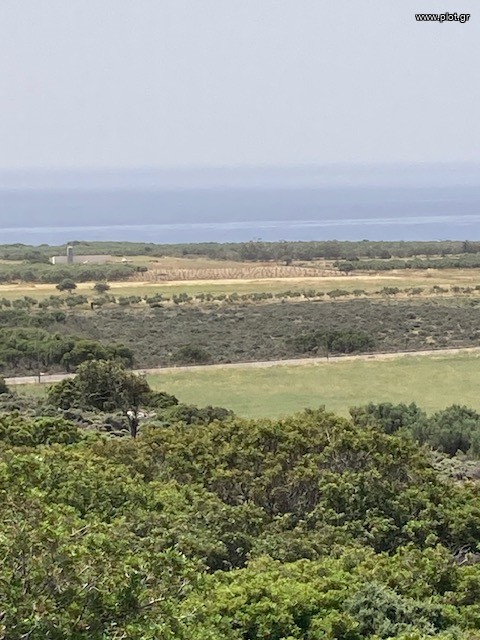 Οικόπεδο 10.000 τ.μ. πρός πώληση, Ν. Χανίων, Σφακιά
