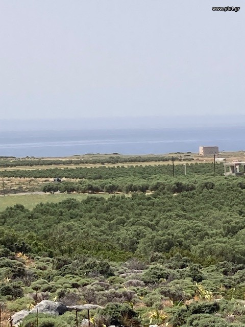 Οικόπεδο 10.000 τ.μ. πρός πώληση, Ν. Χανίων, Σφακιά