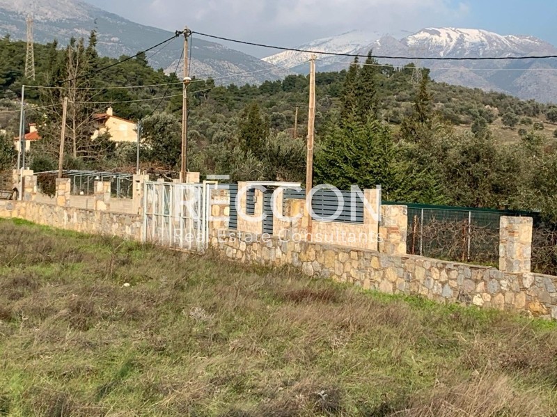 Οικόπεδο 1.000 τ.μ. προς πώληση, Γέροντας Ερέτριας