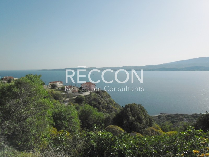 Οικόπεδο 4.060 τ.μ. προς πώληση, Αργοστόλι
