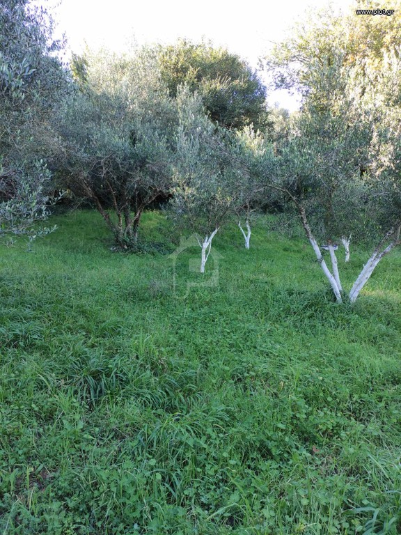 Αγροτεμάχια 5 τ.μ. πρός πώληση, Μεσσηνία, Γαργαλιάνοι