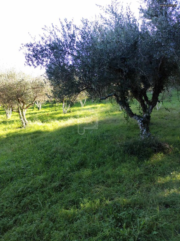 Αγροτεμάχια 5 τ.μ. πρός πώληση, Μεσσηνία, Γαργαλιάνοι