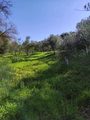 Αγροτεμάχια 5 τ.μ. προς πώληση, Μεσσηνία, Γαργαλιάνοι-thumb-18