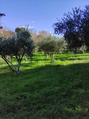 Αγροτεμάχια 5 τ.μ. προς πώληση, Μεσσηνία, Γαργαλιάνοι-thumb-20