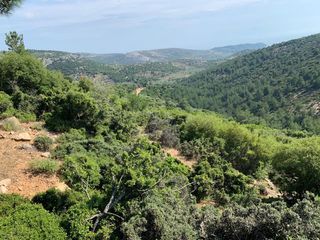 Οικόπεδο 9.800 τ.μ. για πώληση, Ν. Καβάλας, Θάσος-thumb-1