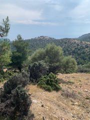 Οικόπεδο 9.800 τ.μ. για πώληση, Ν. Καβάλας, Θάσος-thumb-2