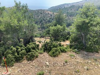 Οικόπεδο 9.800 τ.μ. για πώληση, Ν. Καβάλας, Θάσος-thumb-3